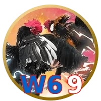 W69